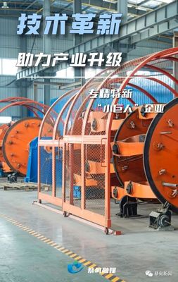 掌握核心技術(shù)，蔡甸電纜生產(chǎn)“小巨人”淡季不淡的啟示